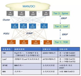 互聯網公司大型數據中心BGP路由協議規劃與優化策略
