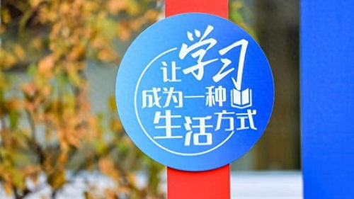 數(shù)字文化創(chuàng)意內(nèi)容應(yīng)用服務(wù) 徐匯打造開放式學(xué)習(xí)空間，賦能家門口的美好教育